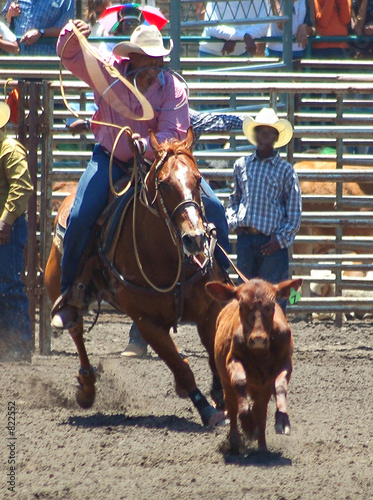 steer wrestlers photo