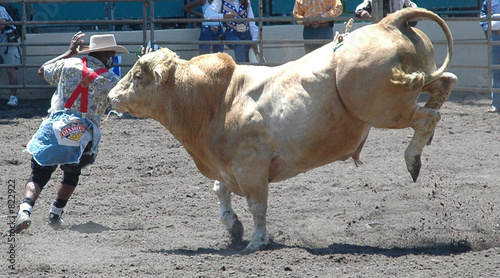 bull chasing cowboy
