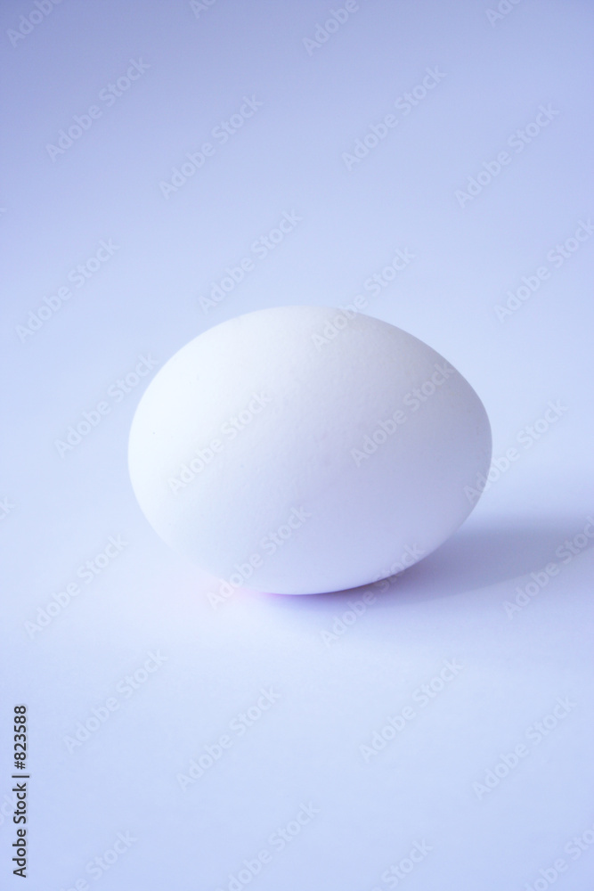 egg egg