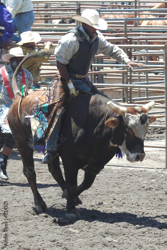 bull rider photo