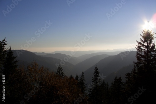 blick vom feldberg - michael gerlach