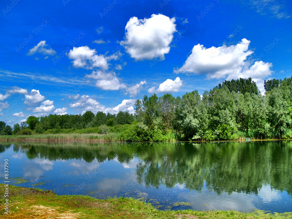 river reflection river reflection
