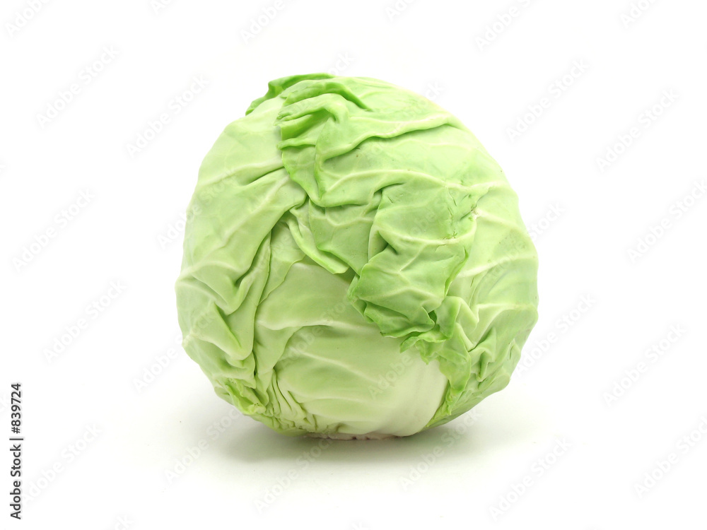 green cabbage green cabbage
