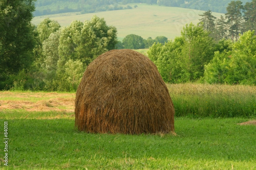 Canvas-taulu haystack