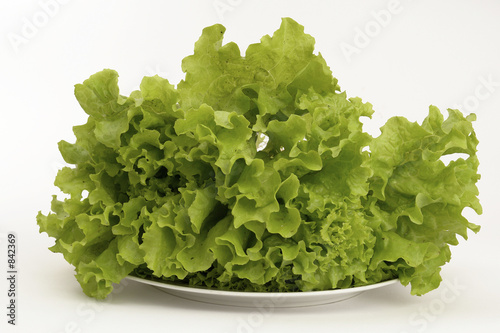 lettuce-1