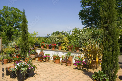 summer garden