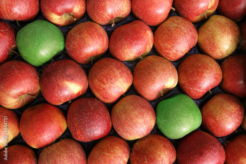 Quadro su tela pommes