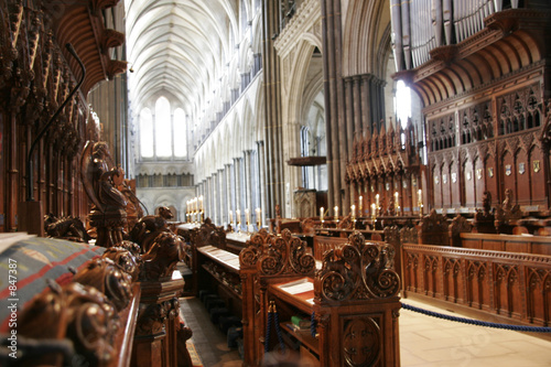 the cathedral choir © David Woolfenden