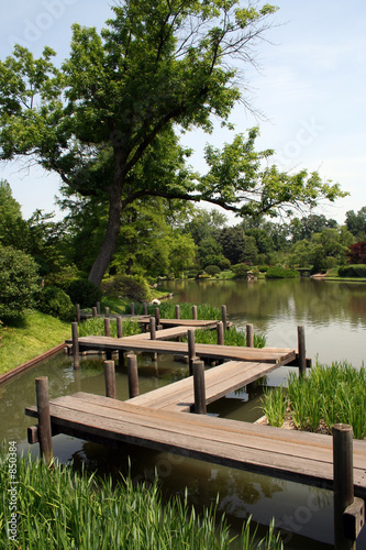 japanese garden