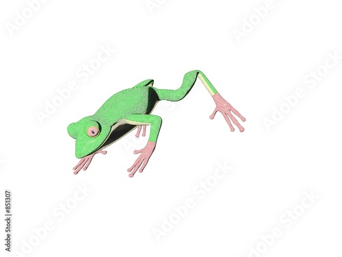 pencil frog