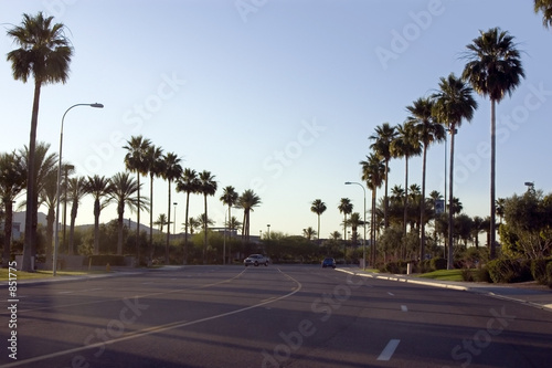 palm trees along the road of a strip mall