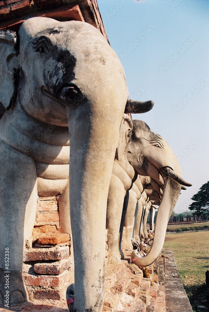 Fototapeta premium sculpture elephants thailande