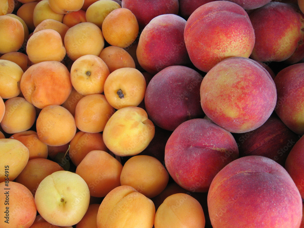 apricots and peaches