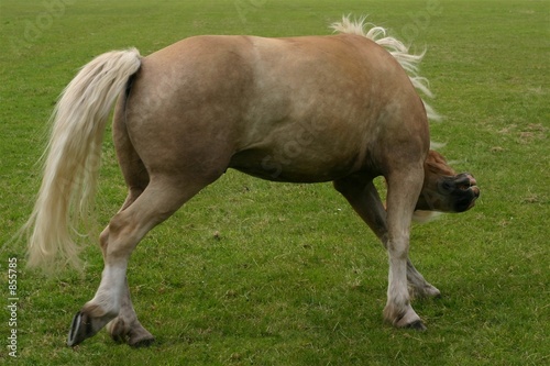funny pose