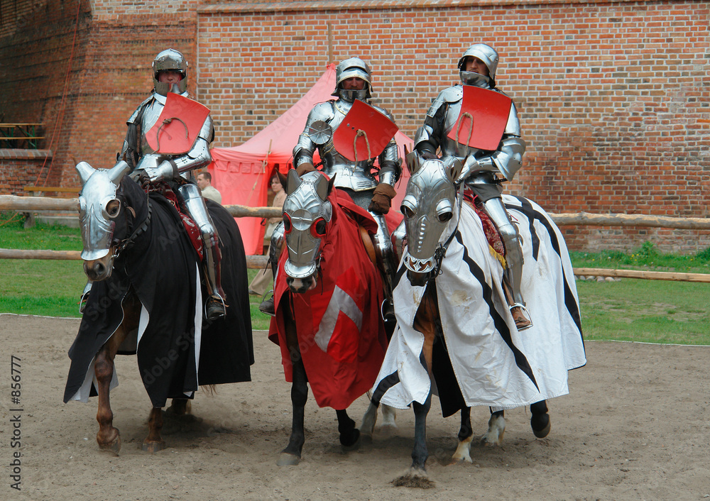 Φωτογραφία knights