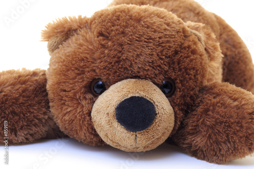 teddy bear