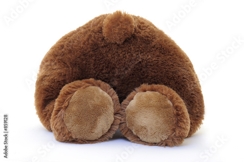 teddy bear