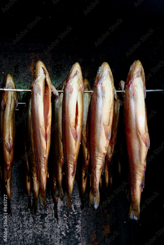 Obraz na plátně smoked fish 2