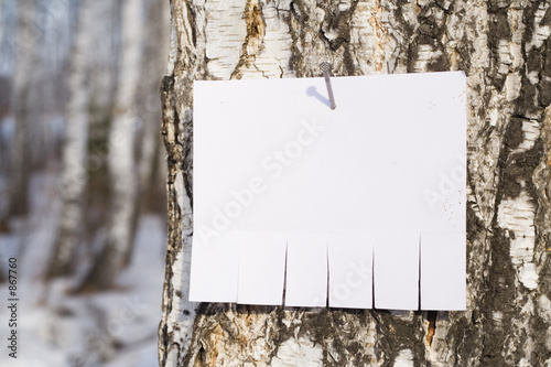 announcement on tree