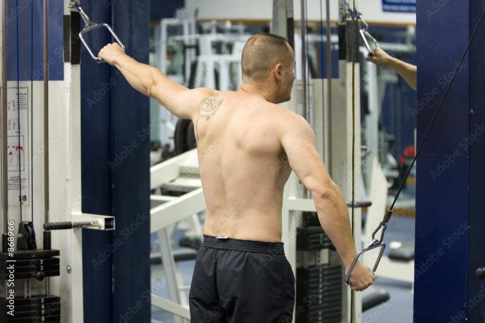 gym training gym training