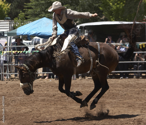 bucking horse