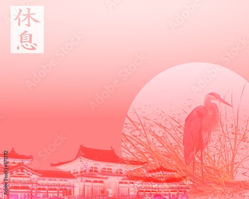 pink crane background photo