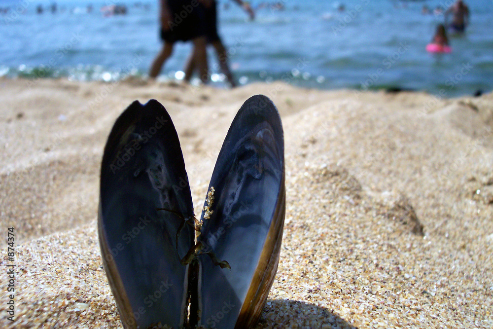 Fototapeta premium mussel shell and two people walking
