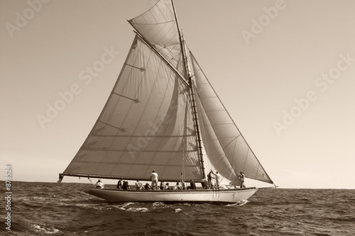 voile en noir et blanc