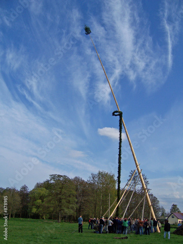 maibaumstellen photo