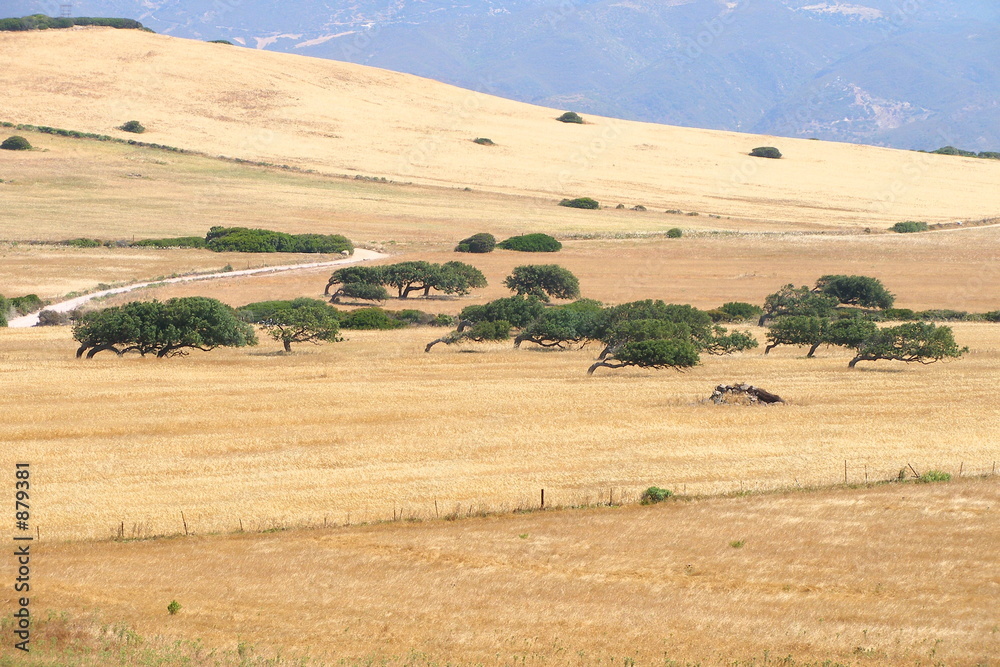 Fototapeta premium collines