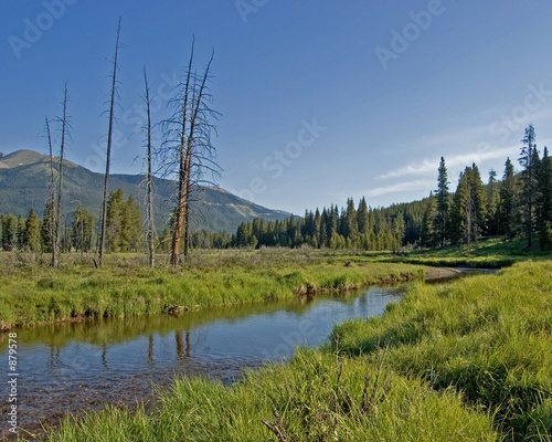 colorado river in kawuneeche valley