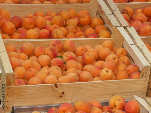 étalage d'abricots