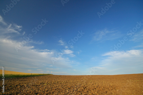 agricultural landscape