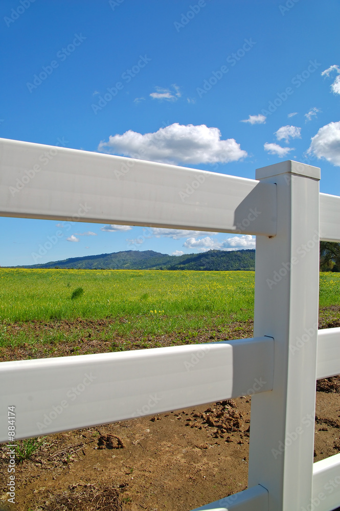Fototapeta premium verdant spring landscape
