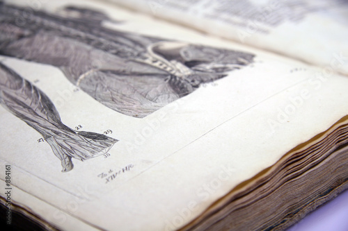 antikes anatomiebuch