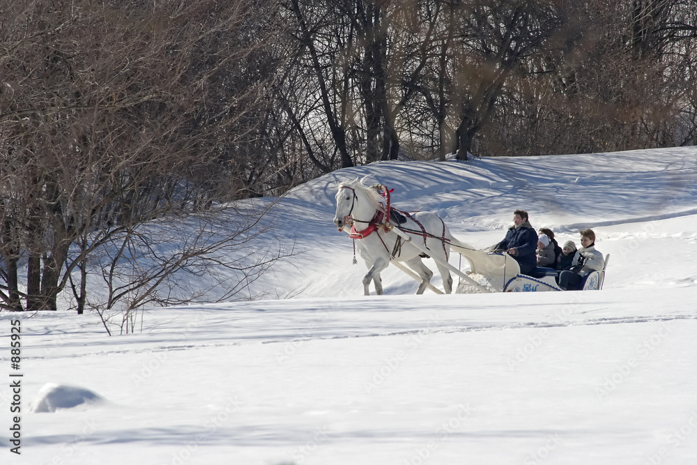 Quadro em tela winter holiday