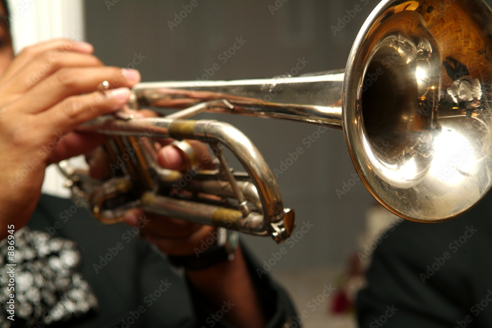 Obraz premium trumpet 2