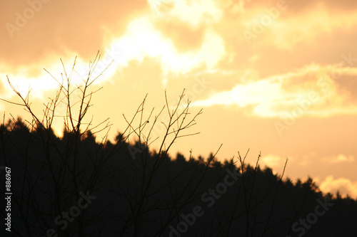 brennender himmel photo