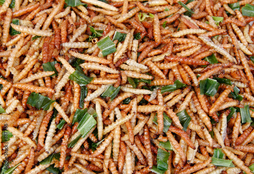 fried caterpillars