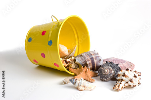 bucket of seashells