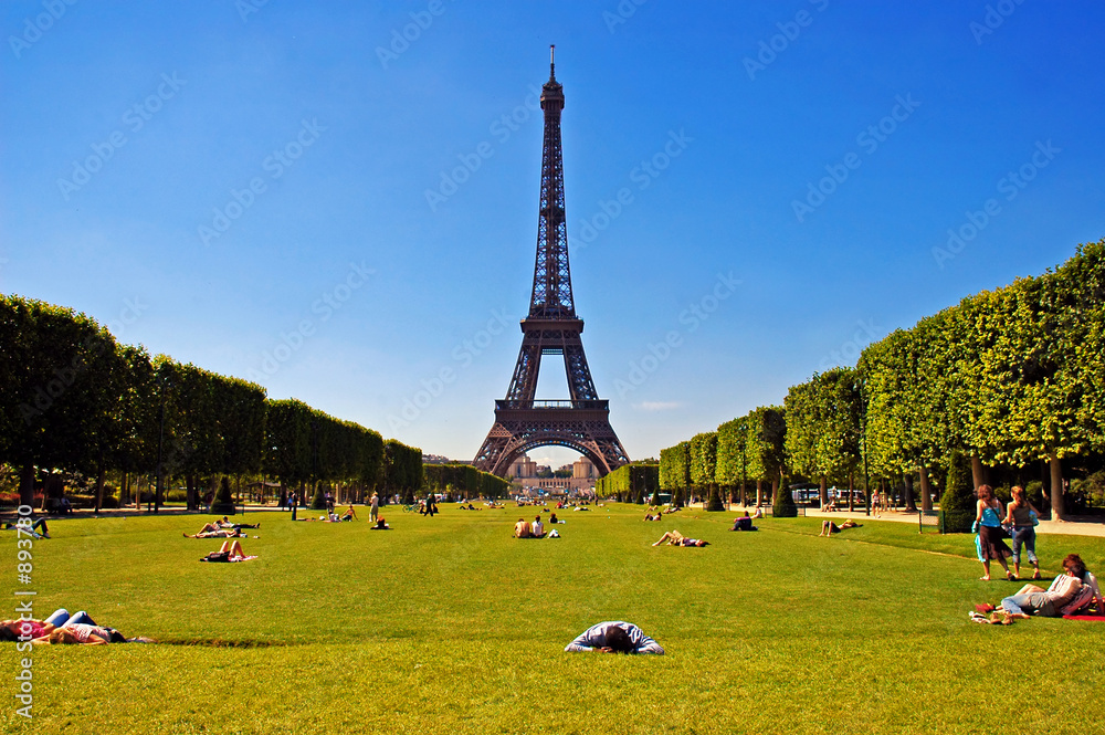Fototapeta premium summer in paris