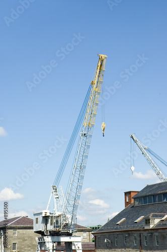white and  yellow cranes,  Boston, Mass	