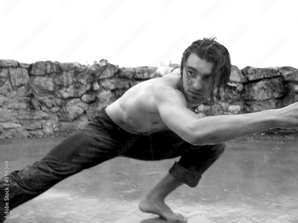 Obraz premium warrior moves