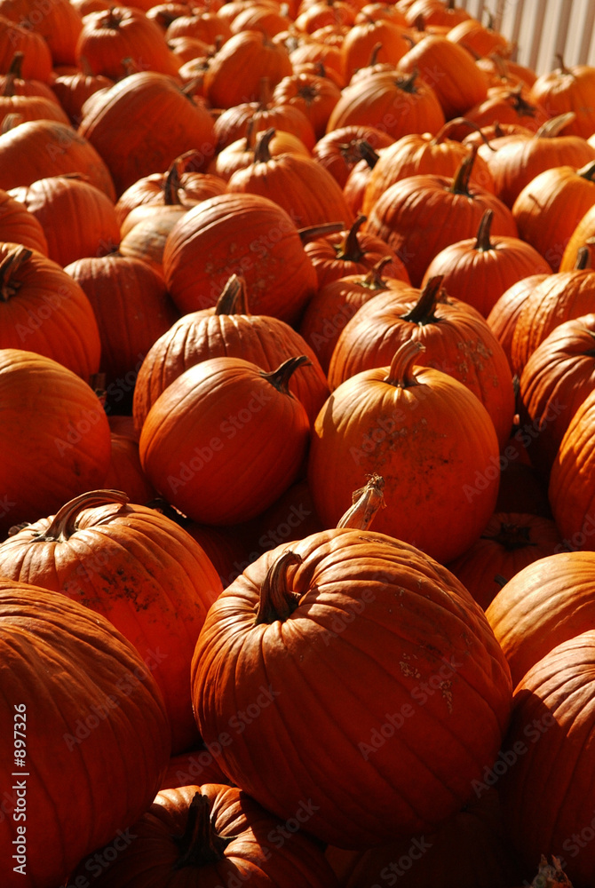piles of pumpkins