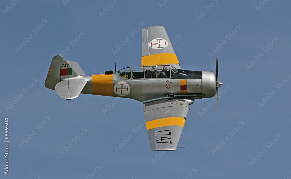 Fotografia north american texan trainer