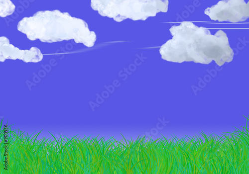 grass and sky