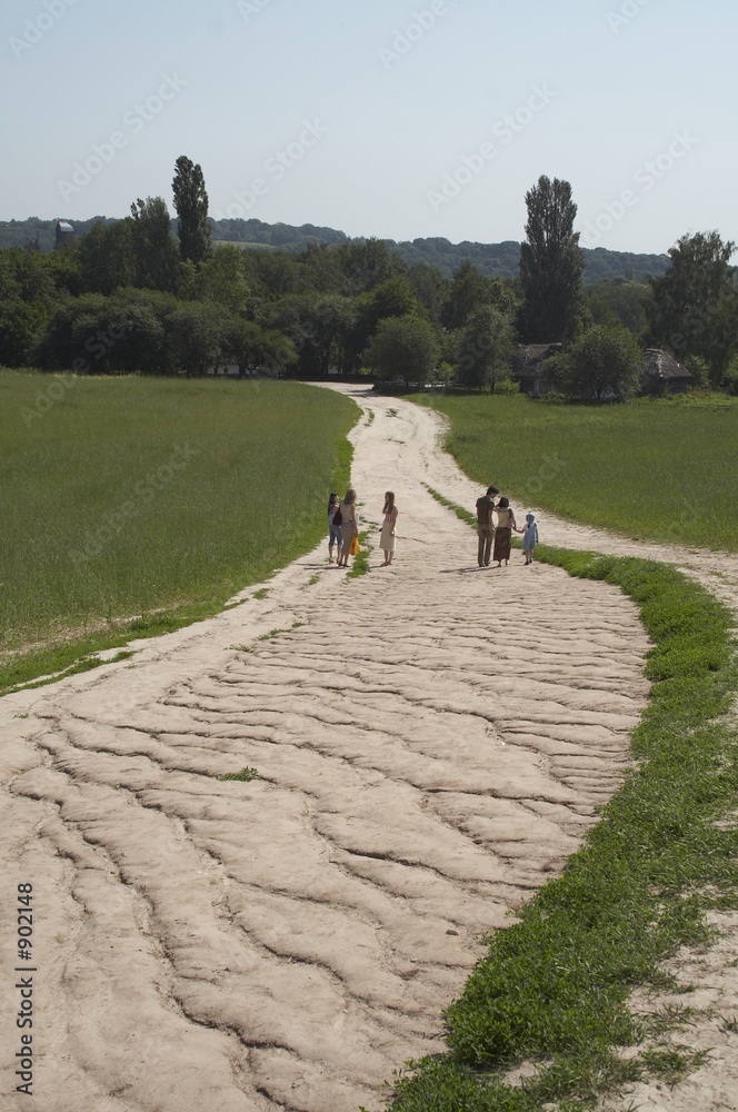 Fototapeta premium dry soil