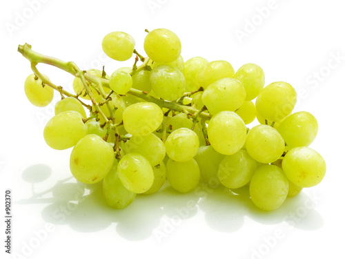grappe de raisins 1