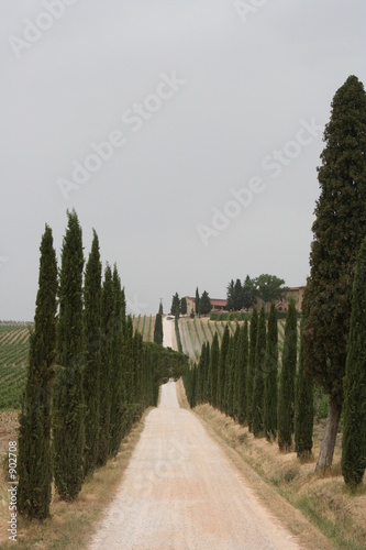 weingut inder toscana photo