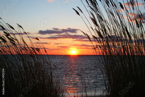 on moonlight bay
